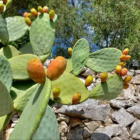 Trullo Dimora Di Pietra Gallipoli * Baia Di Gallipoli